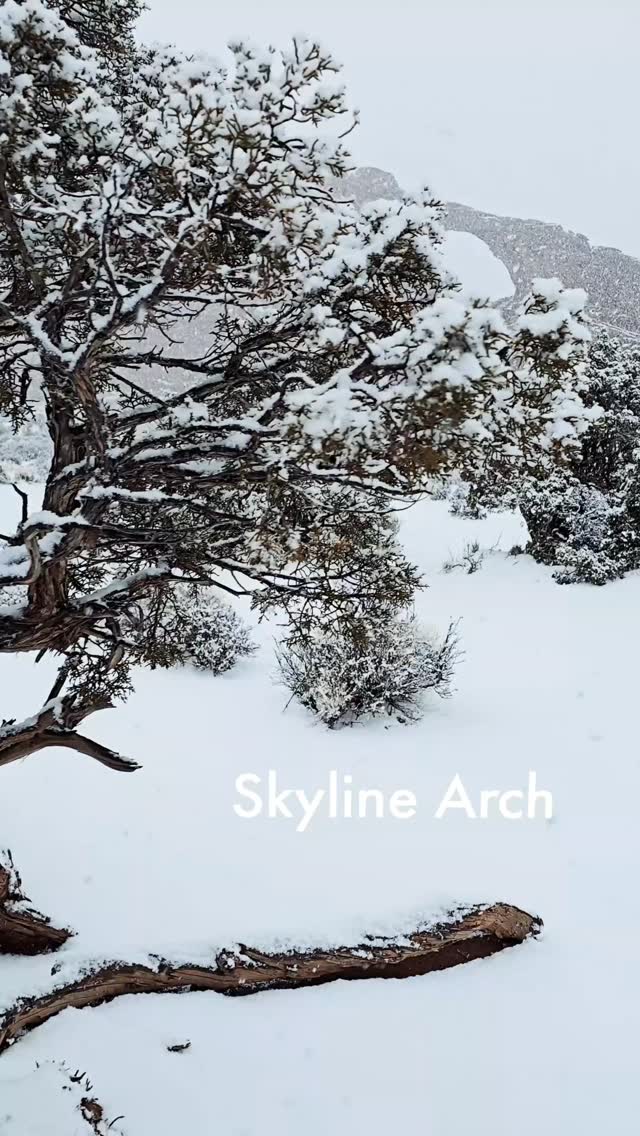 Wasn't planning for a winter wonderland, but enjoyed.

Arches National Park - Skyline Arch
January 8, 2026

#explore #travel #beamazed @archesnps @visitutah #fineartphotography @nationalparkservice