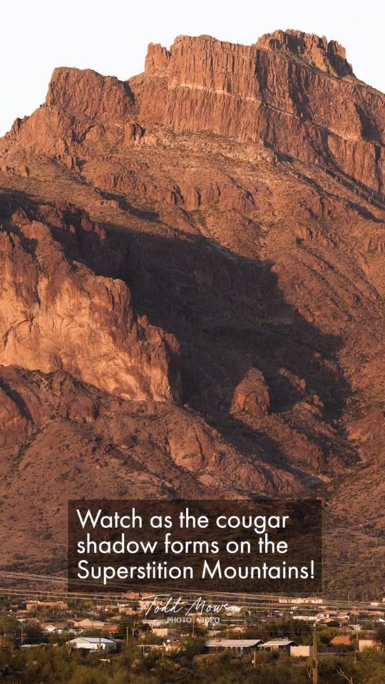 Twice a year, the sun and the stone align to reveal the "Cougar Shadow" stalking its way down the Superstition Mountains. It’s a fleeting moment where nature’s geometry creates something truly incredible, a silent predator appearing as the mountain turns orrange. Watching this timelapse, you can really see the "beast" forms from the crags as the sun dips below the horizon. Truly one of Arizona’s most elusive and awe-inspiring spectacles!

Google maps + The Cougar's Shadow Viewing Site

#CougarShadow #SuperstitionMountains #ArizonaSunset #ApacheJunction #DesertMagic @visitphoenix @visit_arizona @arizonasfamily @arizonahighways @travelandleisure @explorearizona_ @nature_the_journal