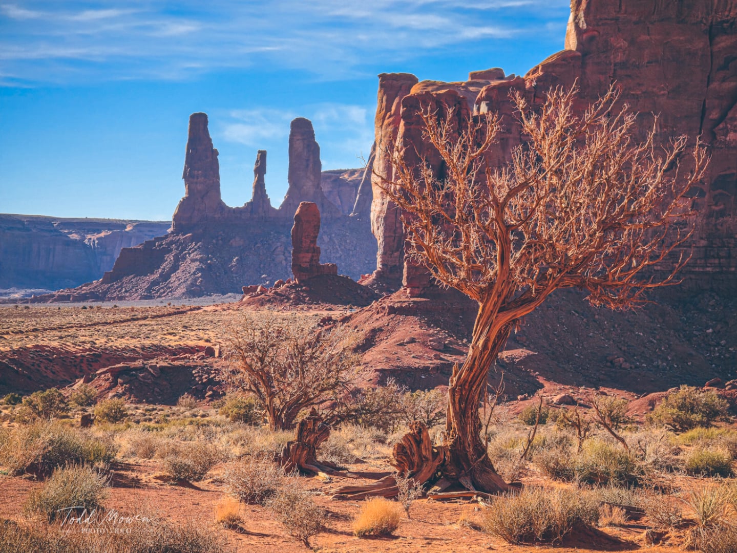 After stopping at Forrest Gump Point, where the road disappears into the horizon, I continued on into Monument Valley Navajo Tribal Park. This is one of those places I’ve wanted to see for so long! As someone who’s constantly chasing the outdoor, hikes, landscapes and experiences, this one felt almost surreal. The 17-mile scenic drive, loops through the towering sandstone formations rising nearly 1,000 feet above the desert floor. The road was nicely graded, best in a 4x4 or SUV, but completely manageable if you take it slow in a 2WD. Around every bend, the view shifted, each butte and mesa looking like a still frame from a classic western!

I pulled off whenever formations or compositions caught my eye, lingering longer than planned, letting the stillness of the desert settle in. The last entry is at 2:30 p.m., and the full loop takes about 90 minutes to two hours if you stop often (which you should). I packed a simple lunch so I could stay out there a little longer, taking it all in without rushing. Monument Valley reminds me exactly why I love exploring new places. getting away from fast pace life to feel quiet, unforgettable beauty and recharge.

Park Info in 2026
$10 Park Entry PP
$15 Vehicle Fee for Scenic Drive 

#forestgumppoint #monument #monumentvalley @monument.valley.az @visit_arizona @welcometoarizona #travel #explore
